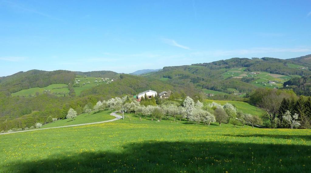 Goelsenhof - Fam. Buechinger Villa Wald  Eksteriør billede