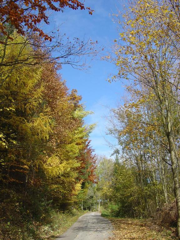 Goelsenhof - Fam. Buechinger Villa Wald  Eksteriør billede
