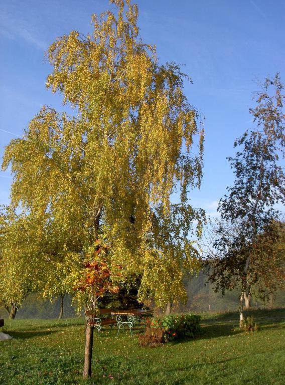 Goelsenhof - Fam. Buechinger Villa Wald  Eksteriør billede